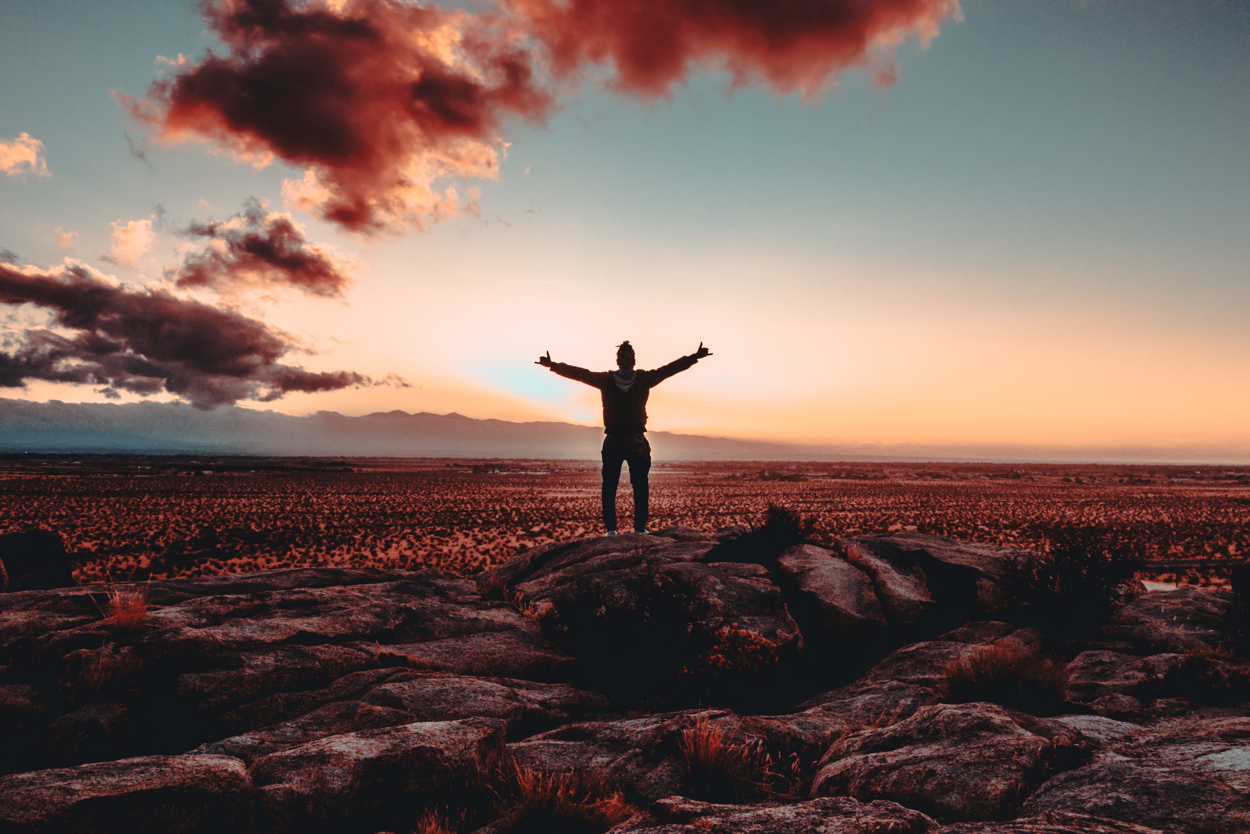xan-griffin-420173-unsplash xan-griffin-420173-unsplash
