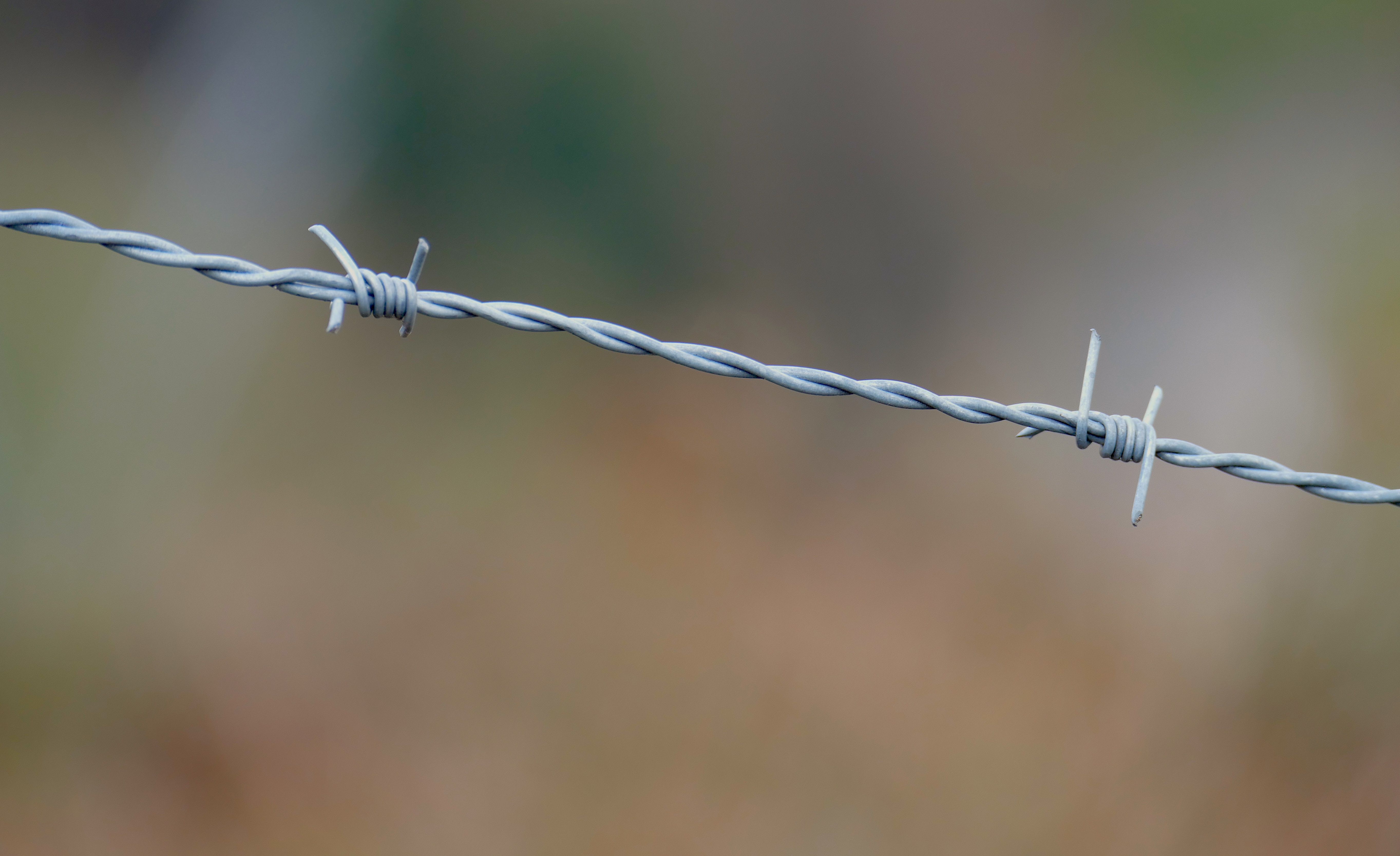 frederick-tubiermont-1247532-unsplash frederick-tubiermont-1247532-unsplash